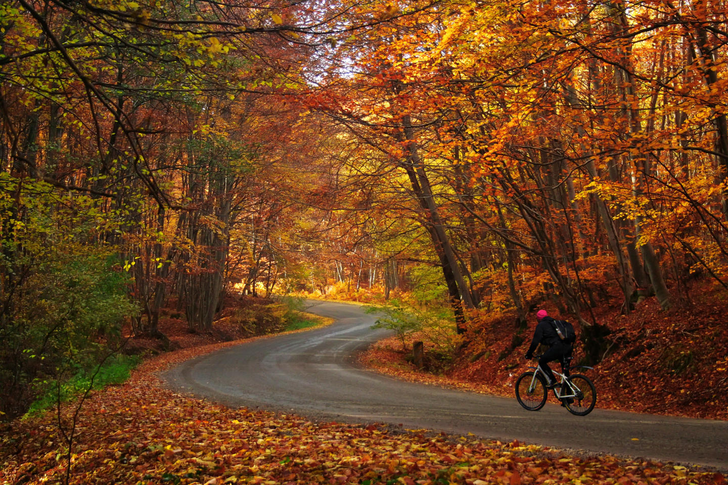 Autumn bike riding