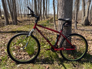 Mountain Bike for Sale